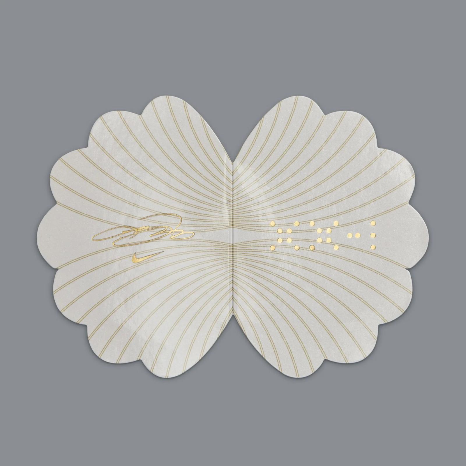 Nike LeBron 21 Cool Grey / Metallic Silver HF5353-001