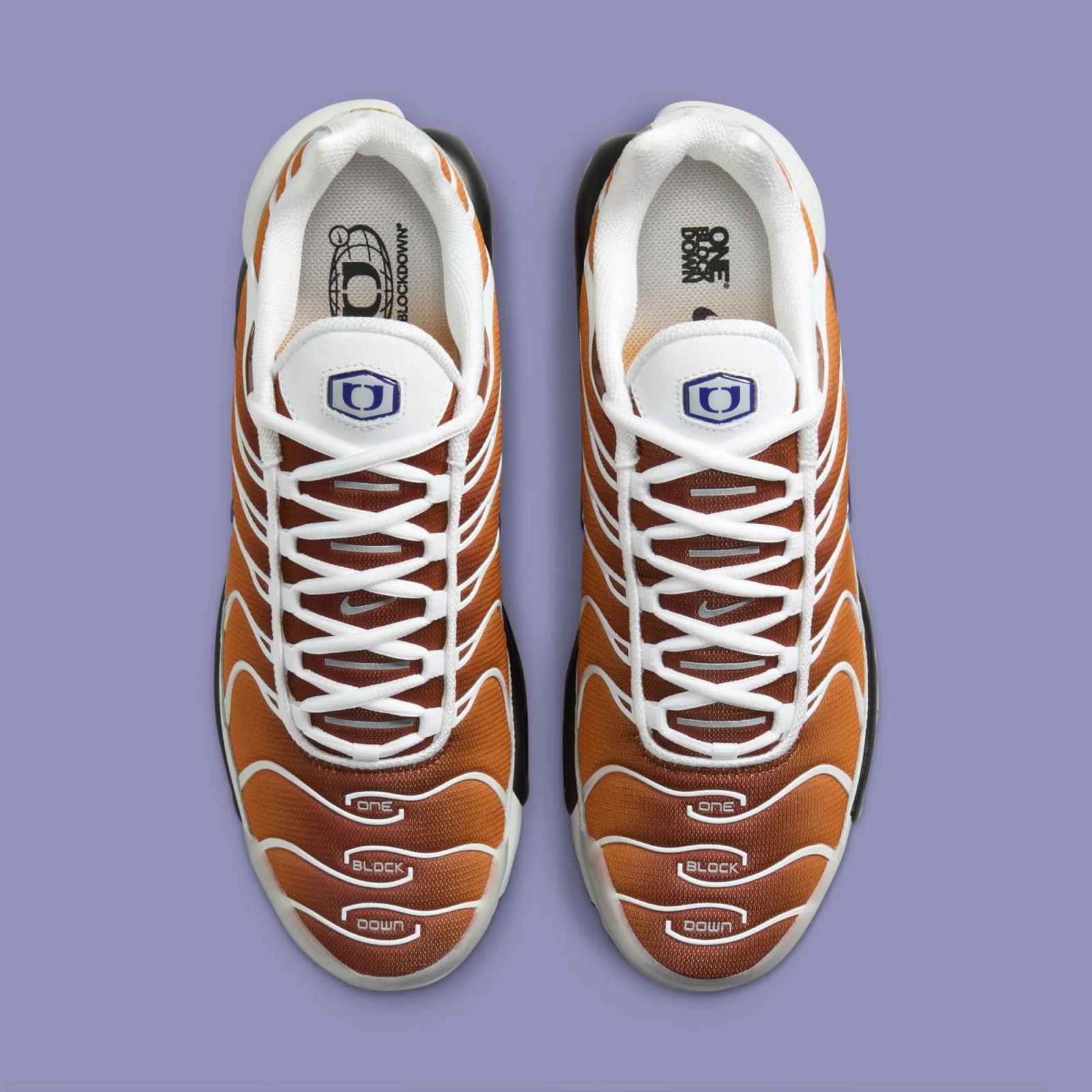 One Block Down x Nike Air Max Plus Chutney FZ3308-700