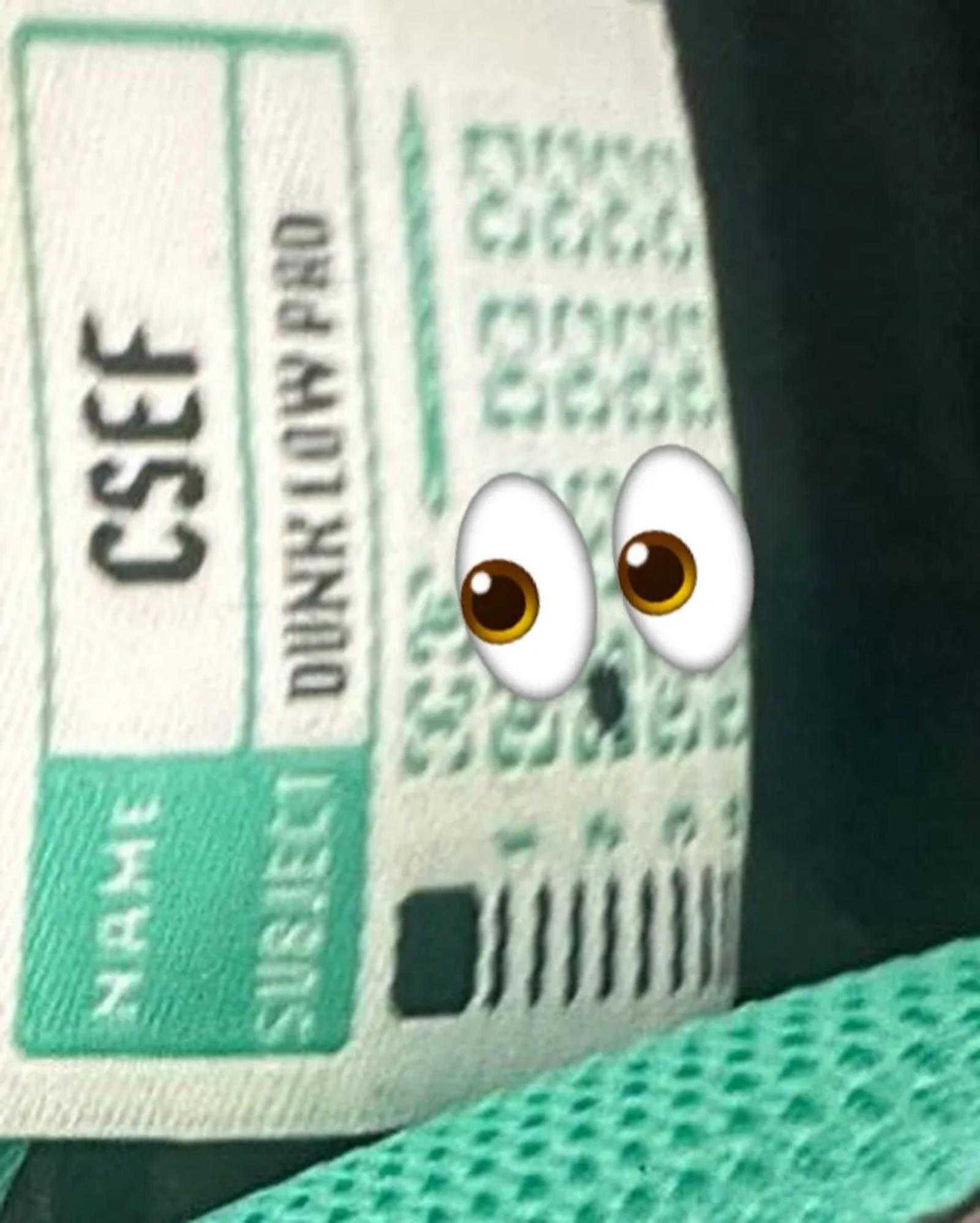 CSEF College Skateboarding Educational Foundation x Nike SB Dunk Low Pro HJ4132-100 Release Date