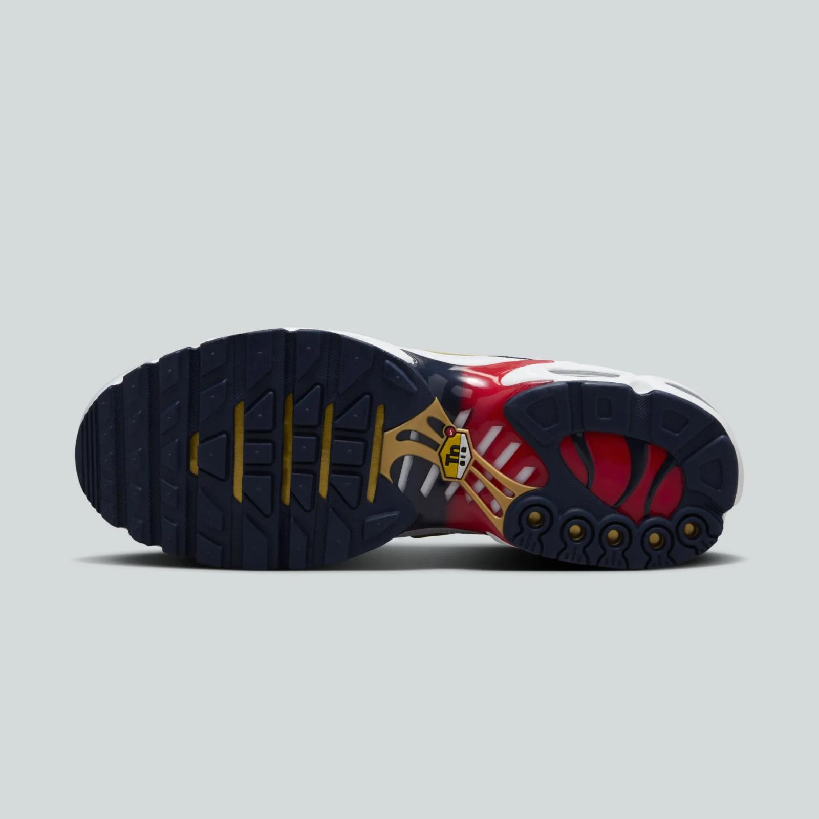 Paris Saint-Germain x Nike Air Max Plus FZ4776-100