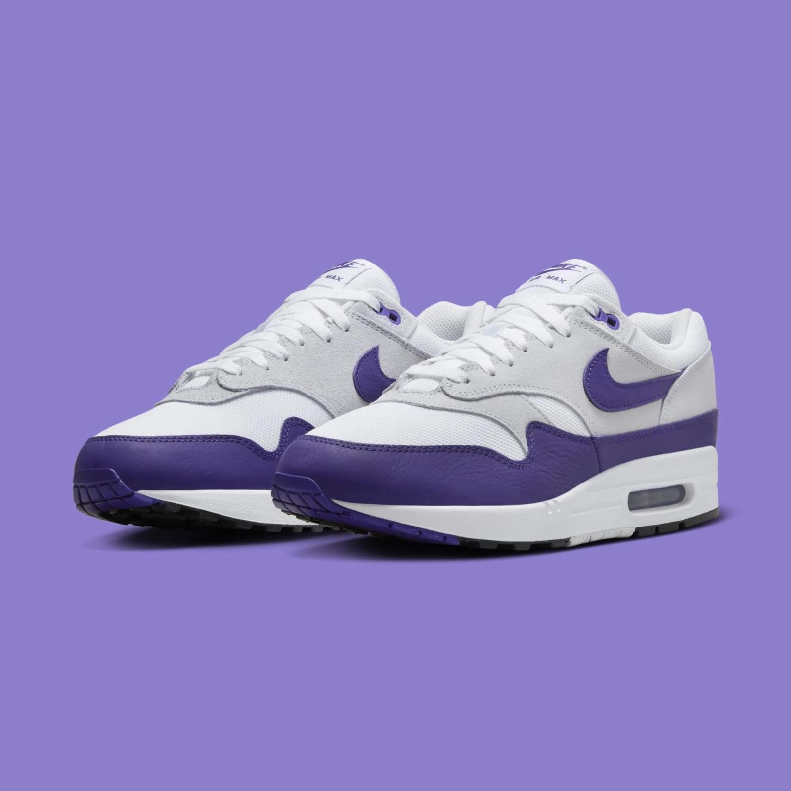 Nike Air Max 1 SC Field Purple DZ4549-101