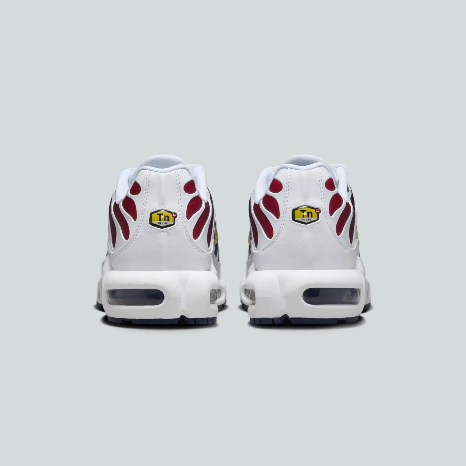 Paris Saint-Germain x Nike Air Max Plus FZ4776-100