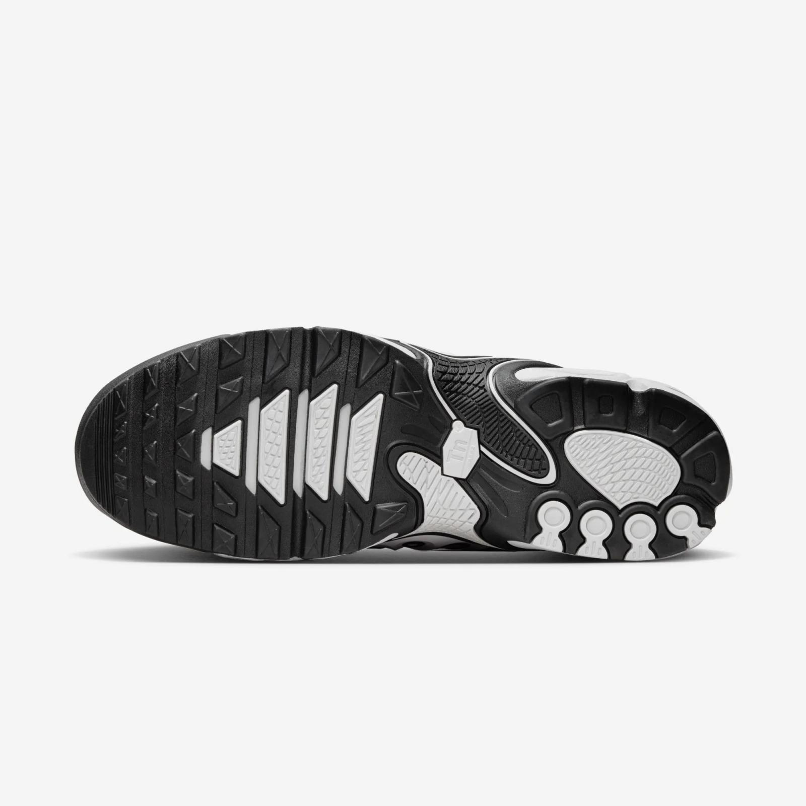 Nike Air Max Plus Drift Metallic Silver FD4290-101