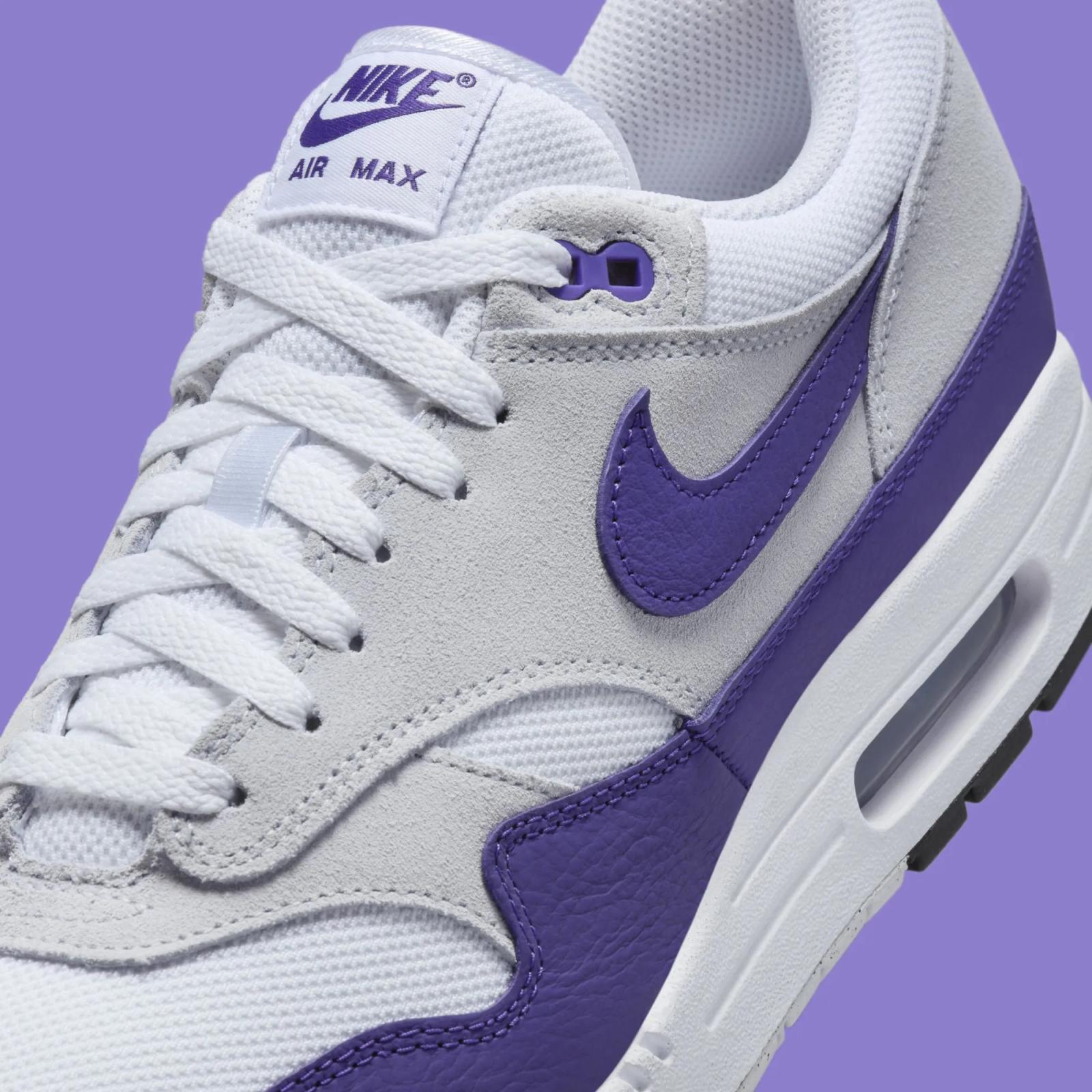 Nike Air Max 1 SC Field Purple DZ4549-101