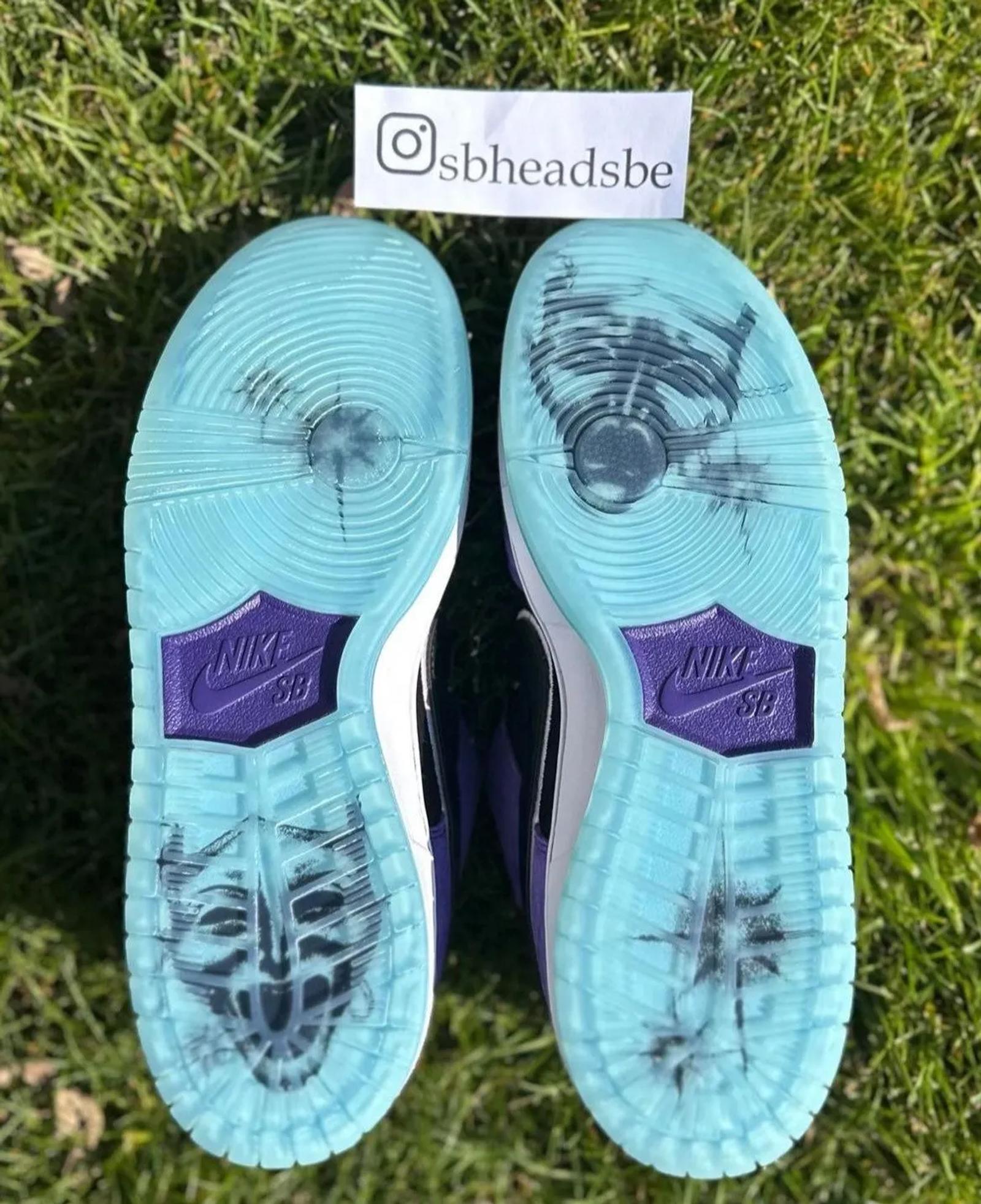 Hayley Wilson x Nike SB Dunk Low Pro QS HJ0513-500