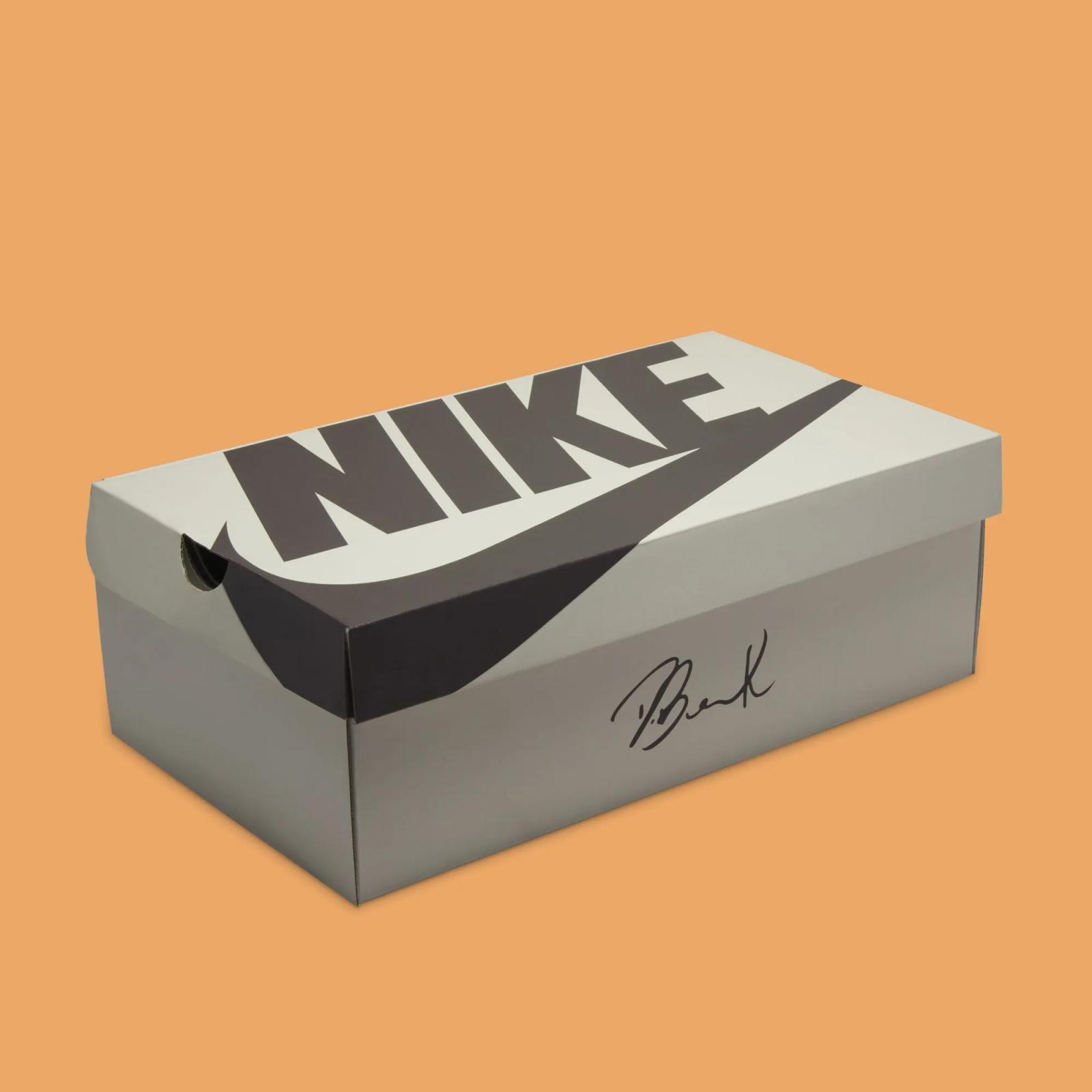 Nike Book 1 Premium Hike HF6236-002