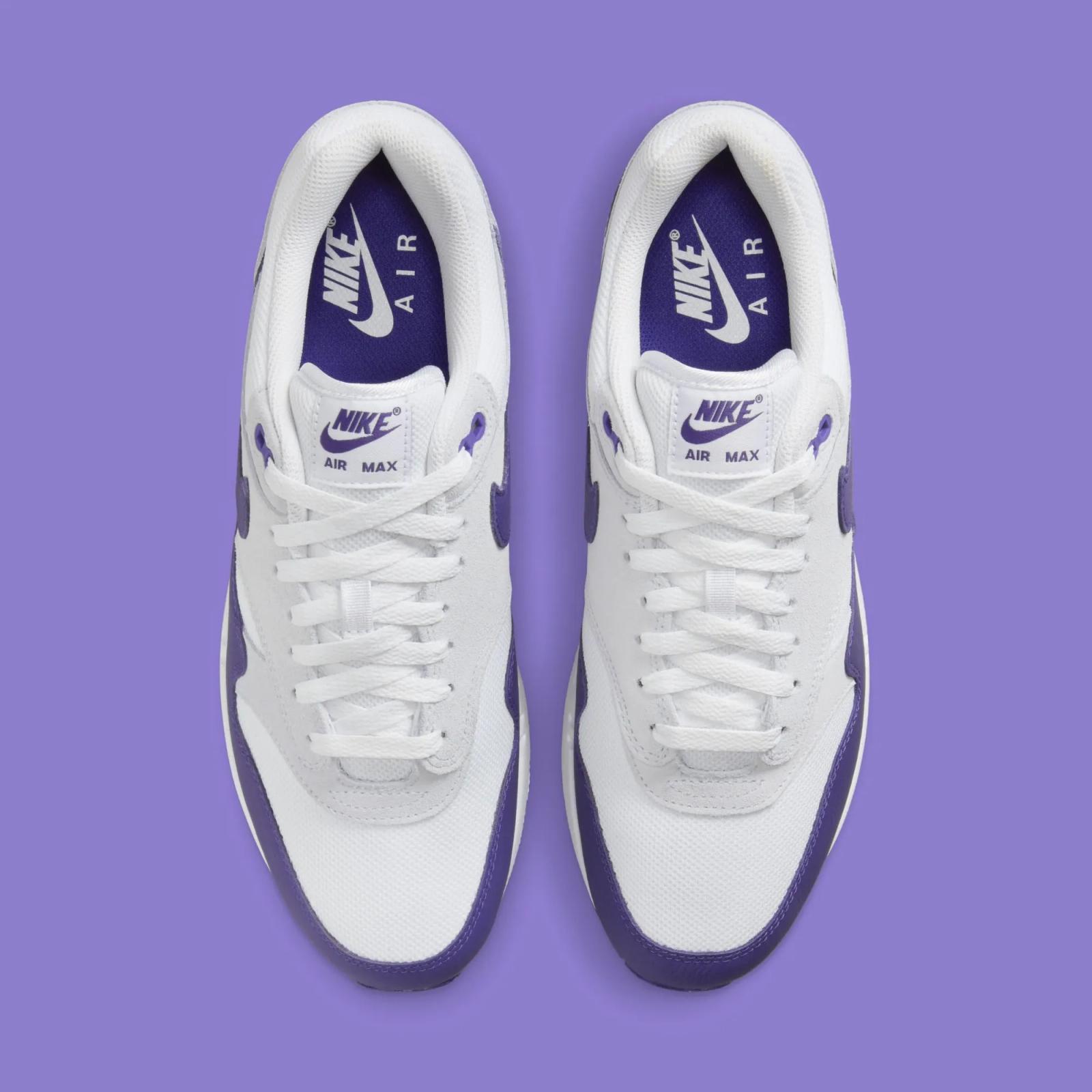 Nike Air Max 1 SC Field Purple DZ4549-101
