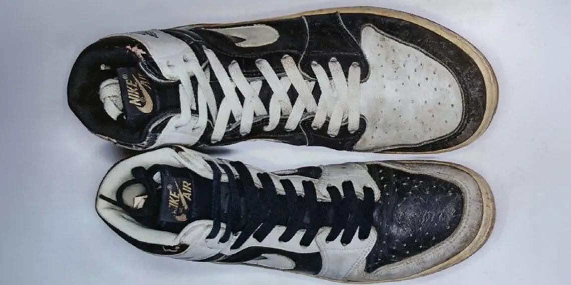 Air Jordan 1 High Reverse Shadow 1985