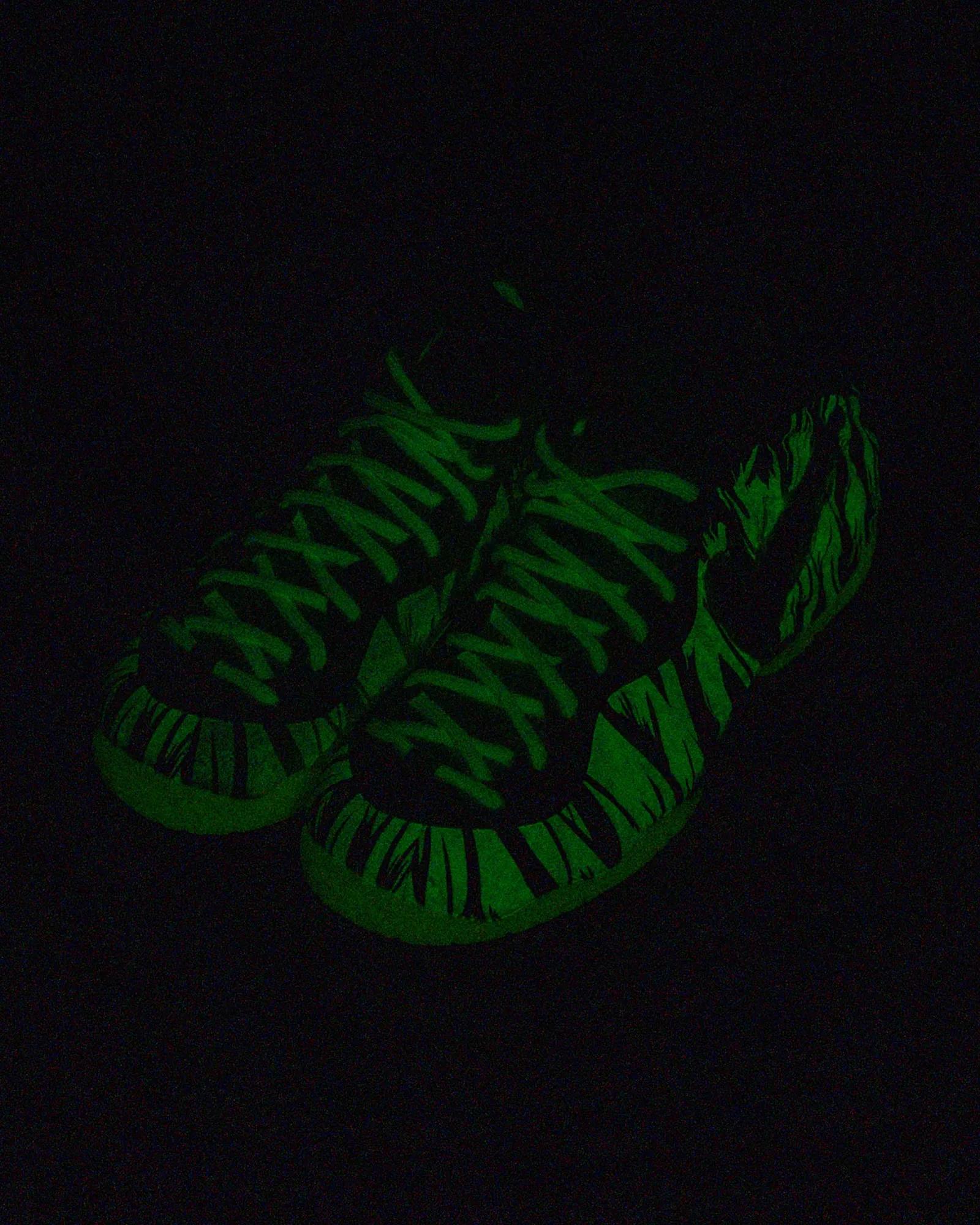 University of Oregon x Nike Air Foamposite Pro "Mummy" releasing in 2026