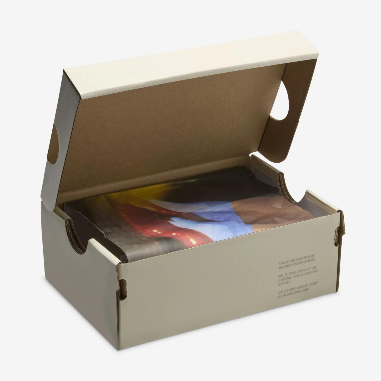 Wizard of Oz x Nike SB Dunk Low Pro Poppy Field FZ1237-600