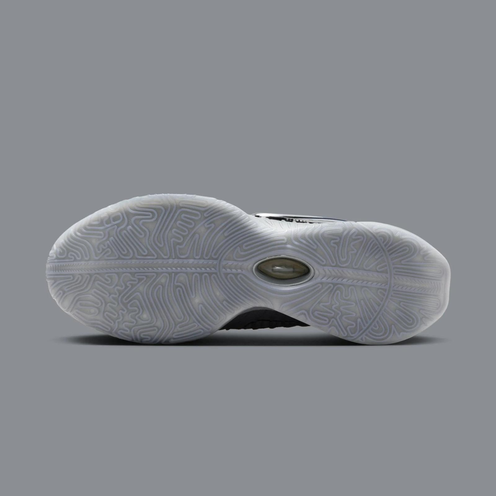 Nike LeBron 21 Cool Grey / Metallic Silver HF5353-001