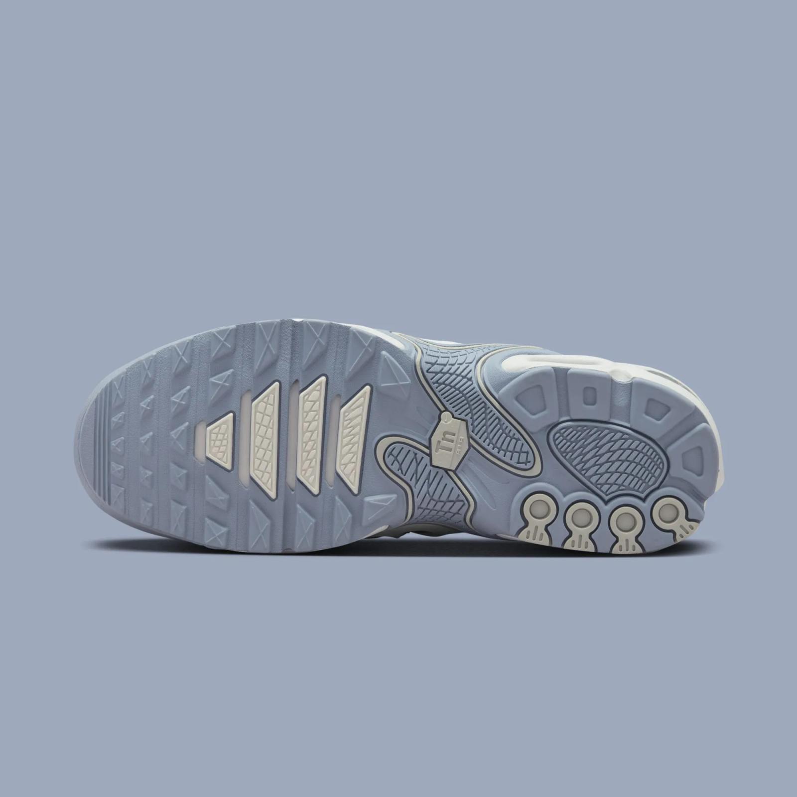 Nike Air Max Plus Drift Summit White / Ashen Slate FV4081-101