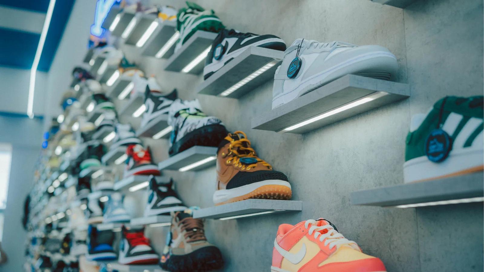 Unfazed Brasov Romania