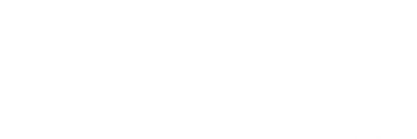 The BIC logo wordmark in white.