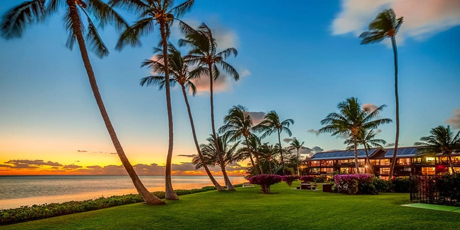 Tropical resort exterior with palm trees and ocean sunset