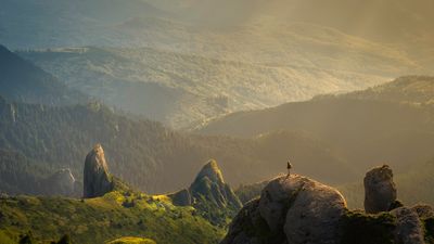 Two Worlds: What Follows If Consciousness Is Mine Alone, or Not