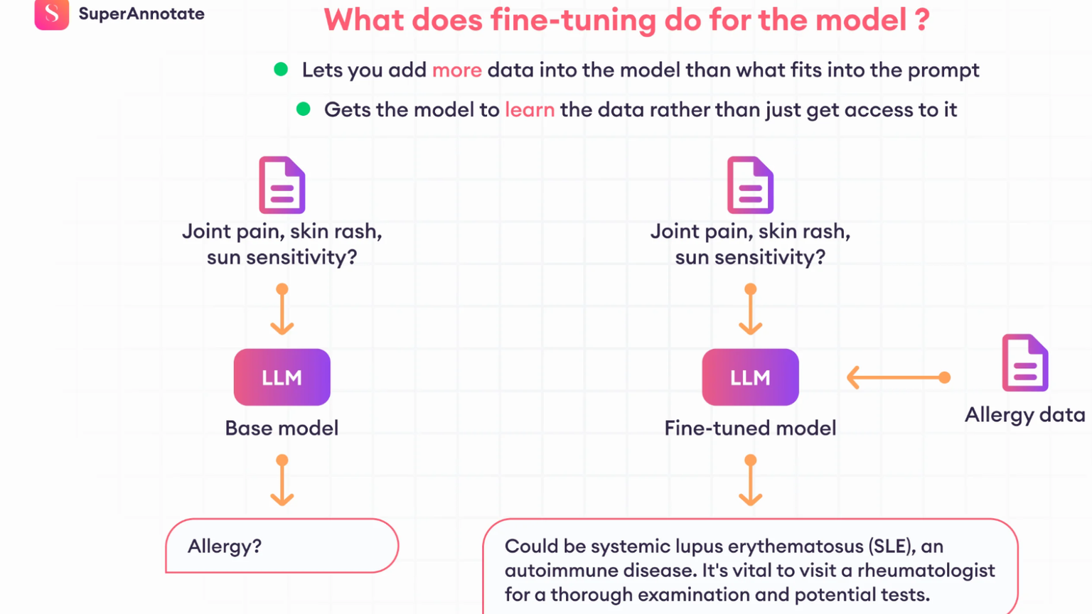 What Does Fine-Tuning Do For The Model?