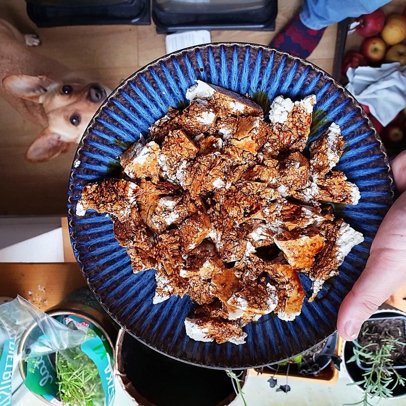 Tofu szarpane, da się Tofu szarpane, da się