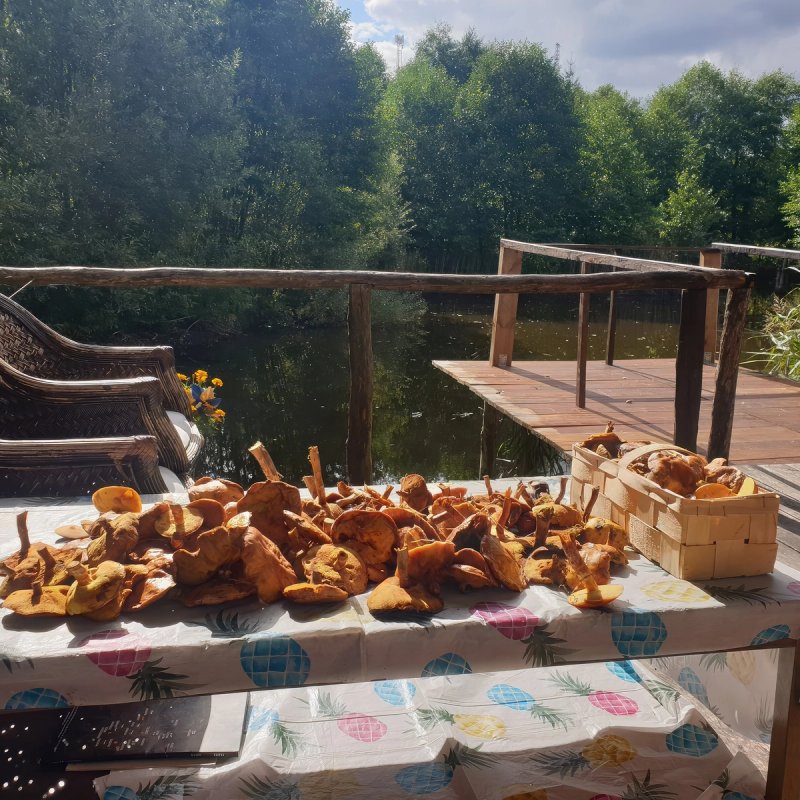 Makaron z maślakami, który powstanie Makaron z maślakami, który powstanie