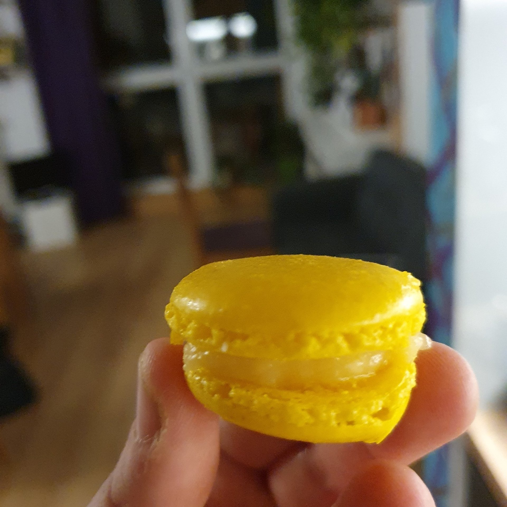 Makaroniki, dramat, który w miarę się udał