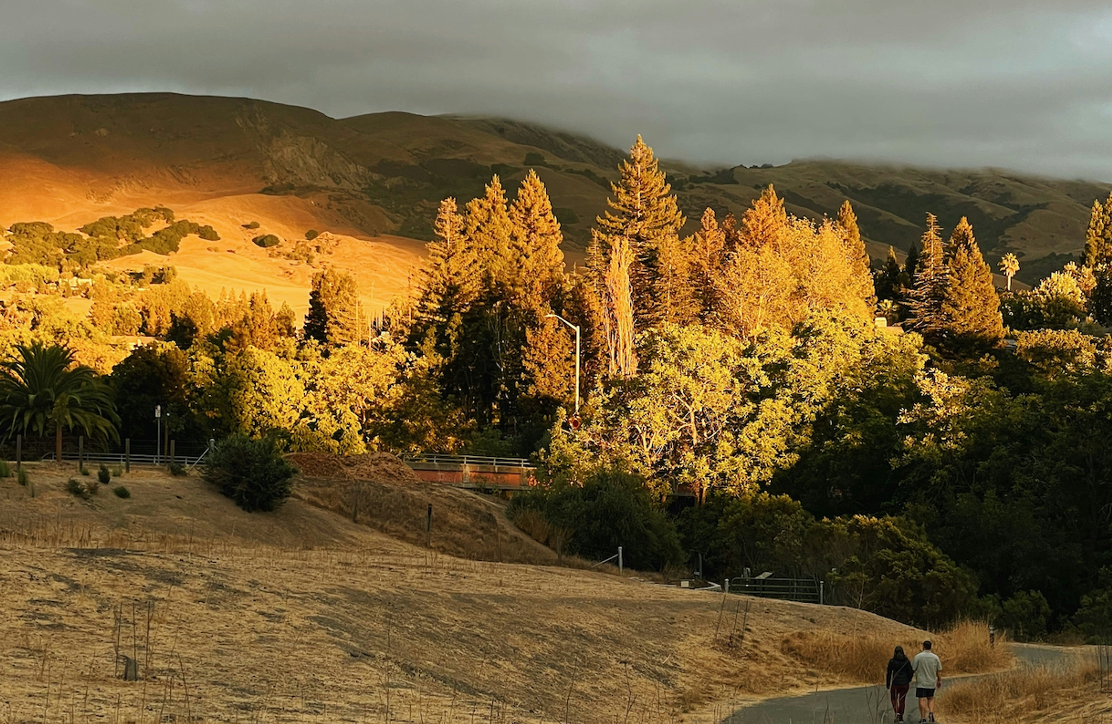 Stay Strong, Stay Sharp: Your Autumn Wellness Flight Plan