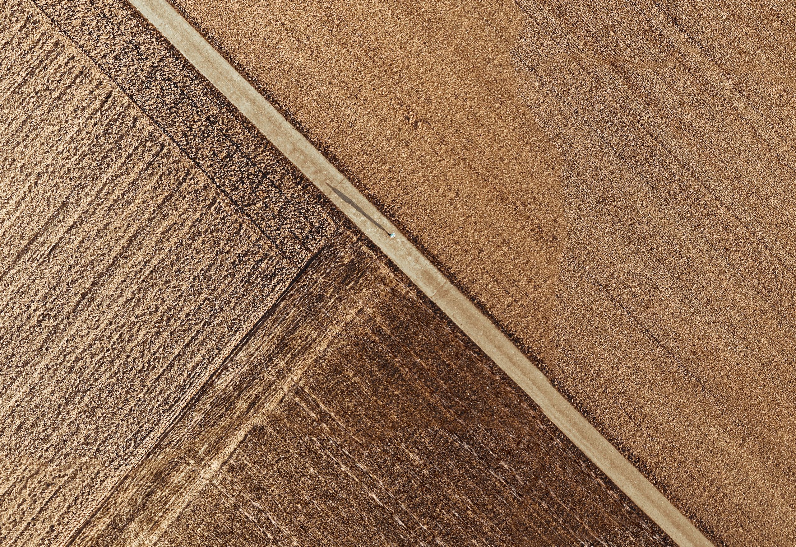 Wheat field from above
