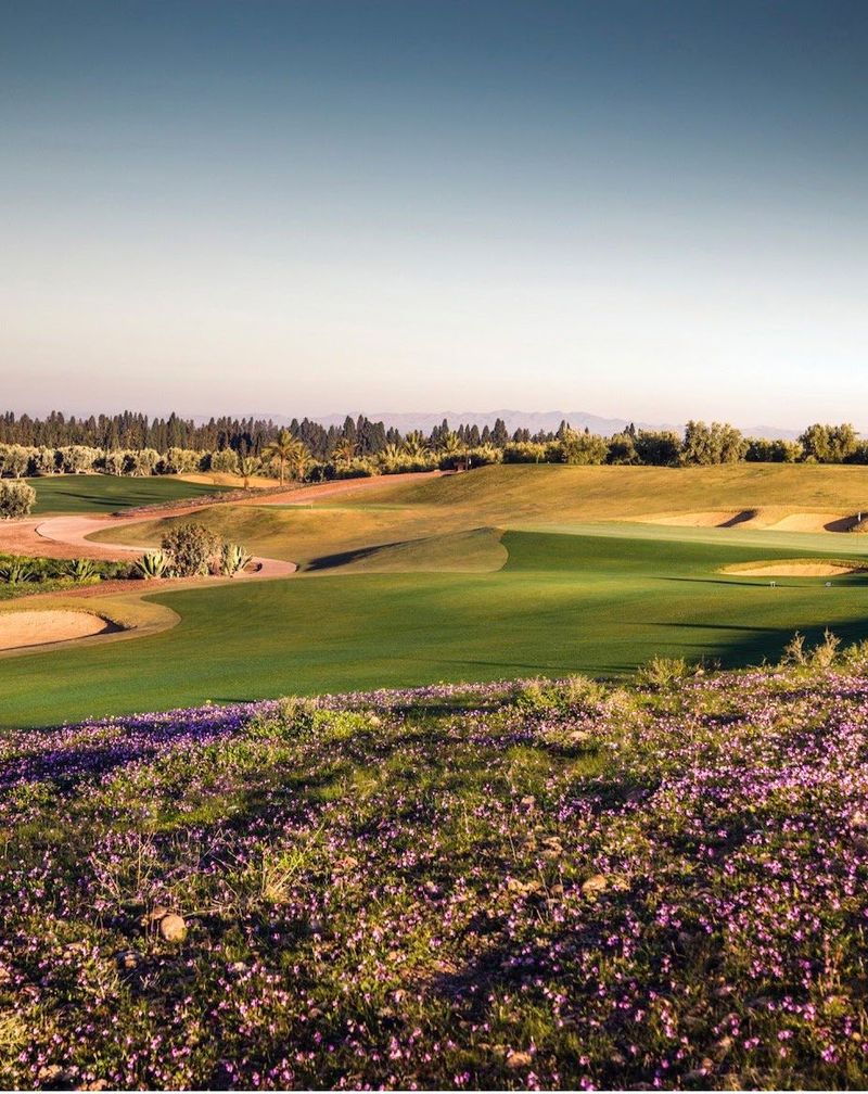 Golf at Assoufid