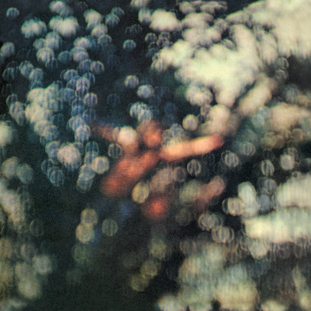 Obscured By Clouds - Pink Floyd - Cover