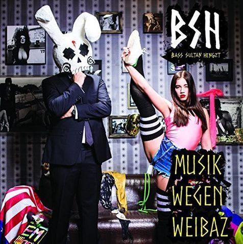 Musik wegen Weibaz - Bass Sultan Hengzt - Cover