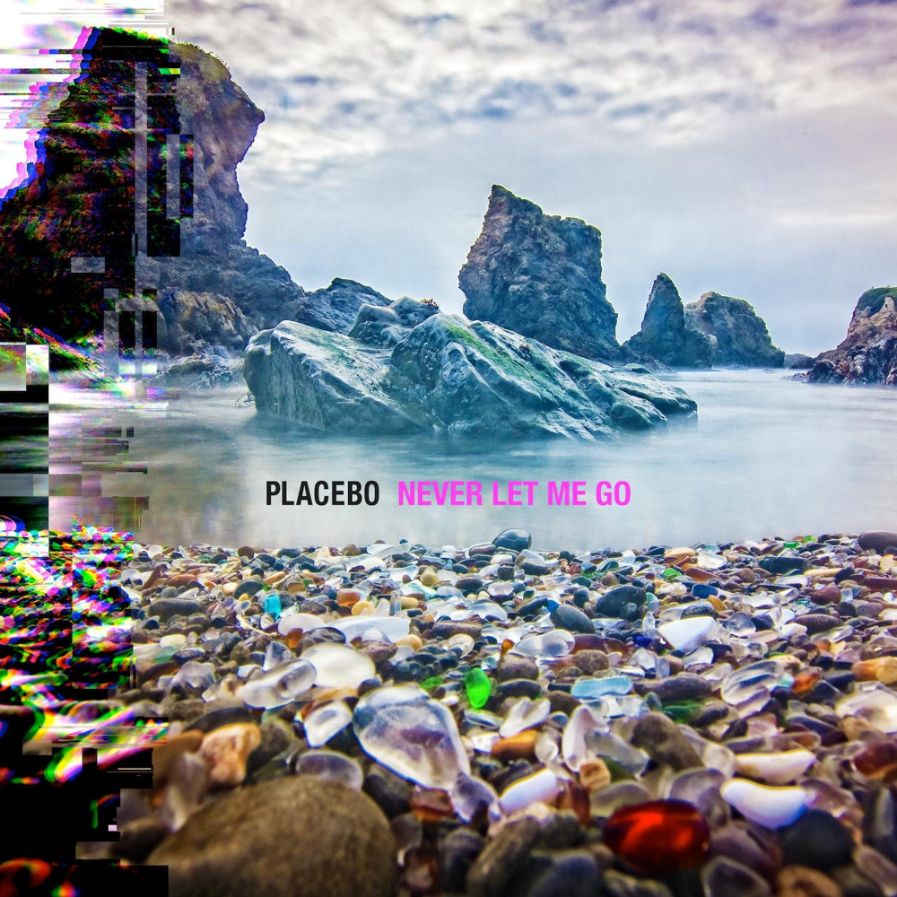 Never Let Me Go - Placebo - Cover