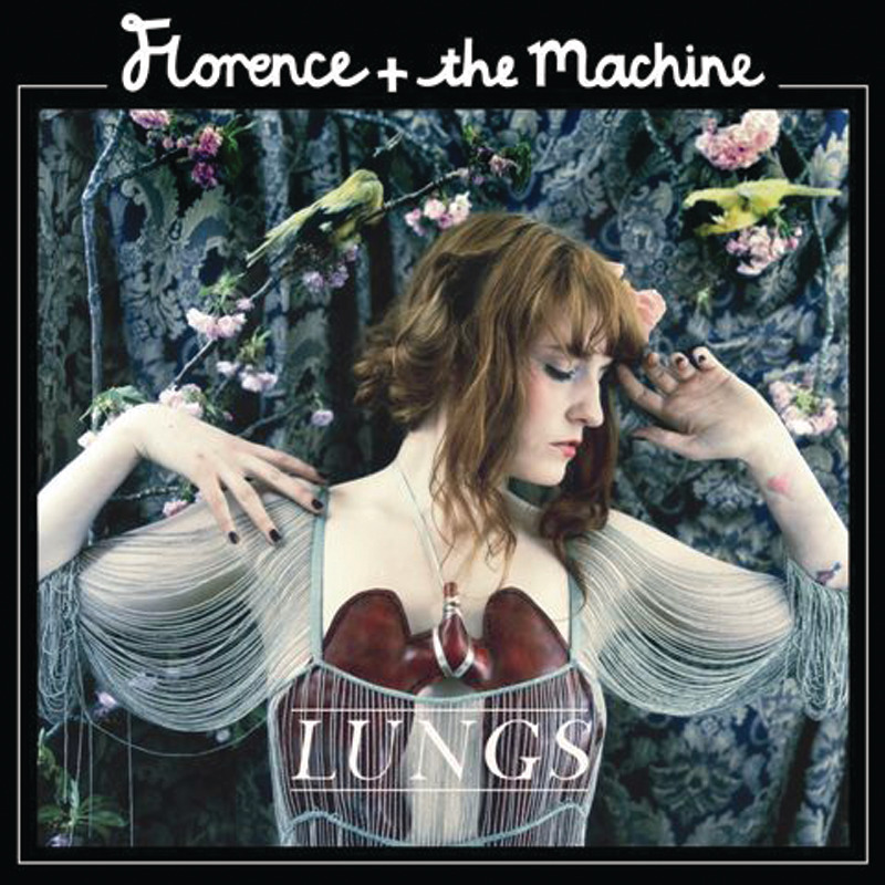 Lungs cover