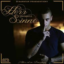 Herr meiner Sinne - Disarstar - Cover