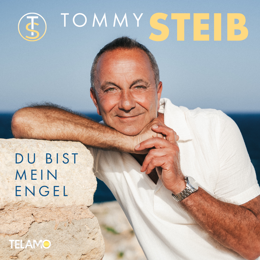 Du bist mein Engel cover