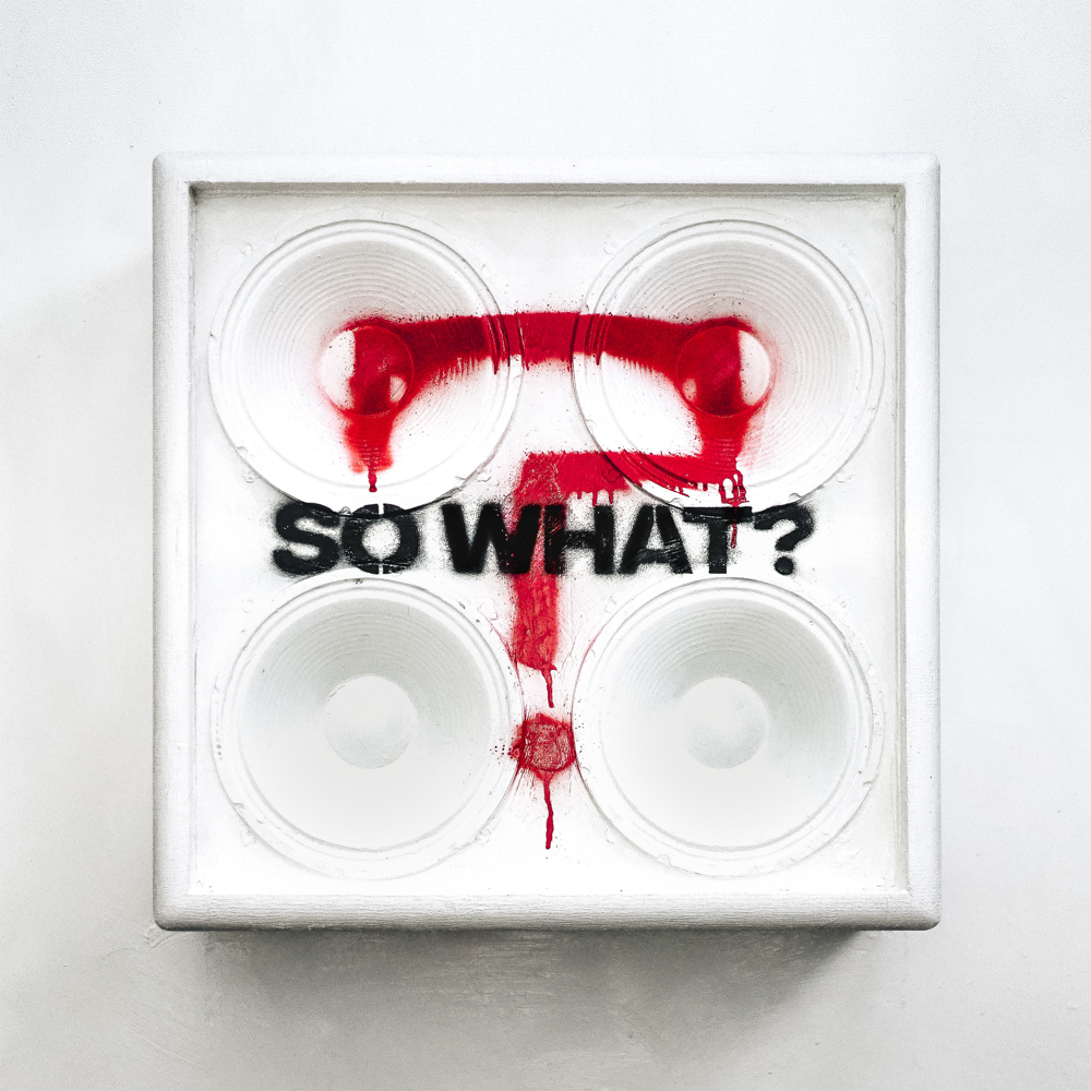 So What? - While She Sleeps - Cover