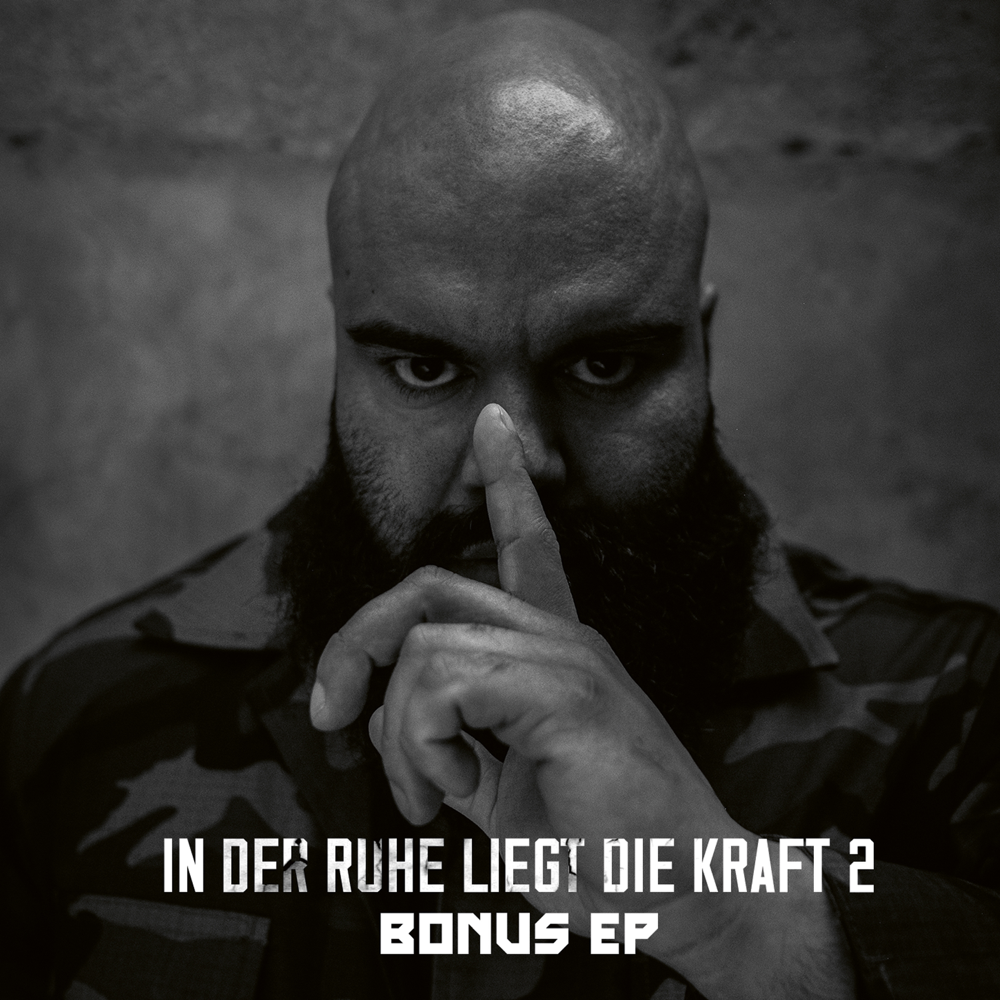 In der Ruhe liegt die Kraft 2 - Animus - Cover