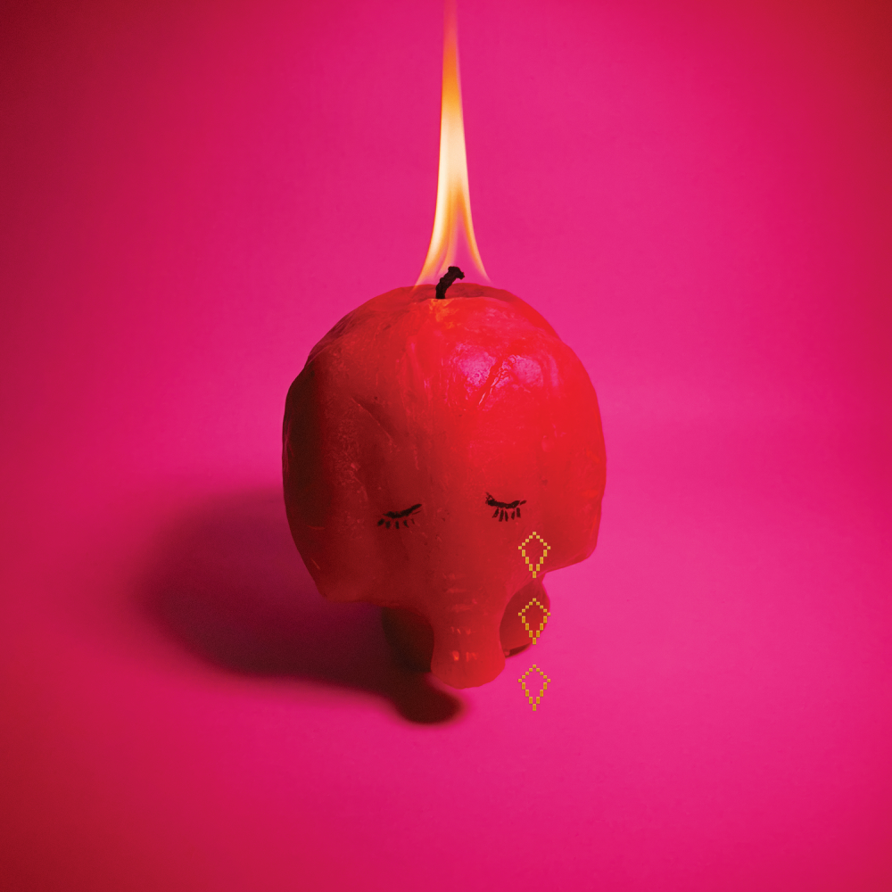 Pink Elephant - Arcade Fire - Cover