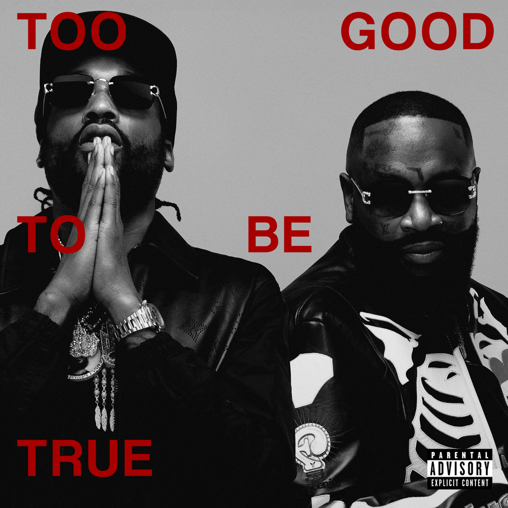 Too Good To Be True - Meek Mill & Rick Ross - Cover