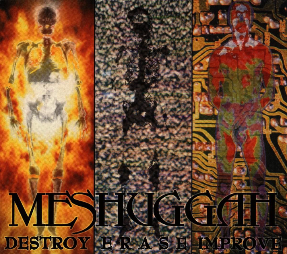 Destroy Erase Improve - Meshuggah - Cover