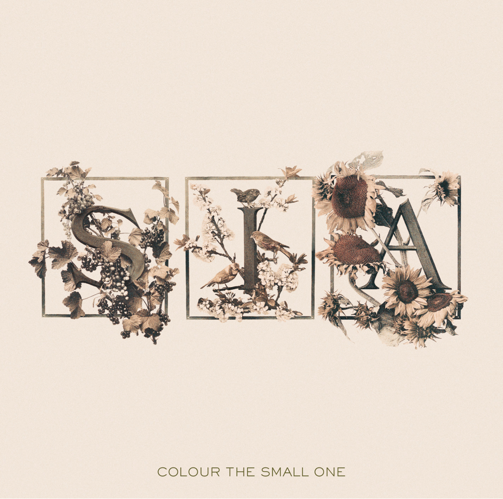Colour The Small One - Sia - Cover