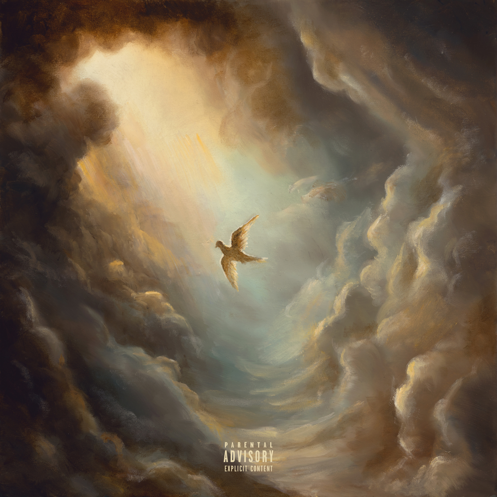 Do You See The Birds, Too? - Aaryan Shah - Cover
