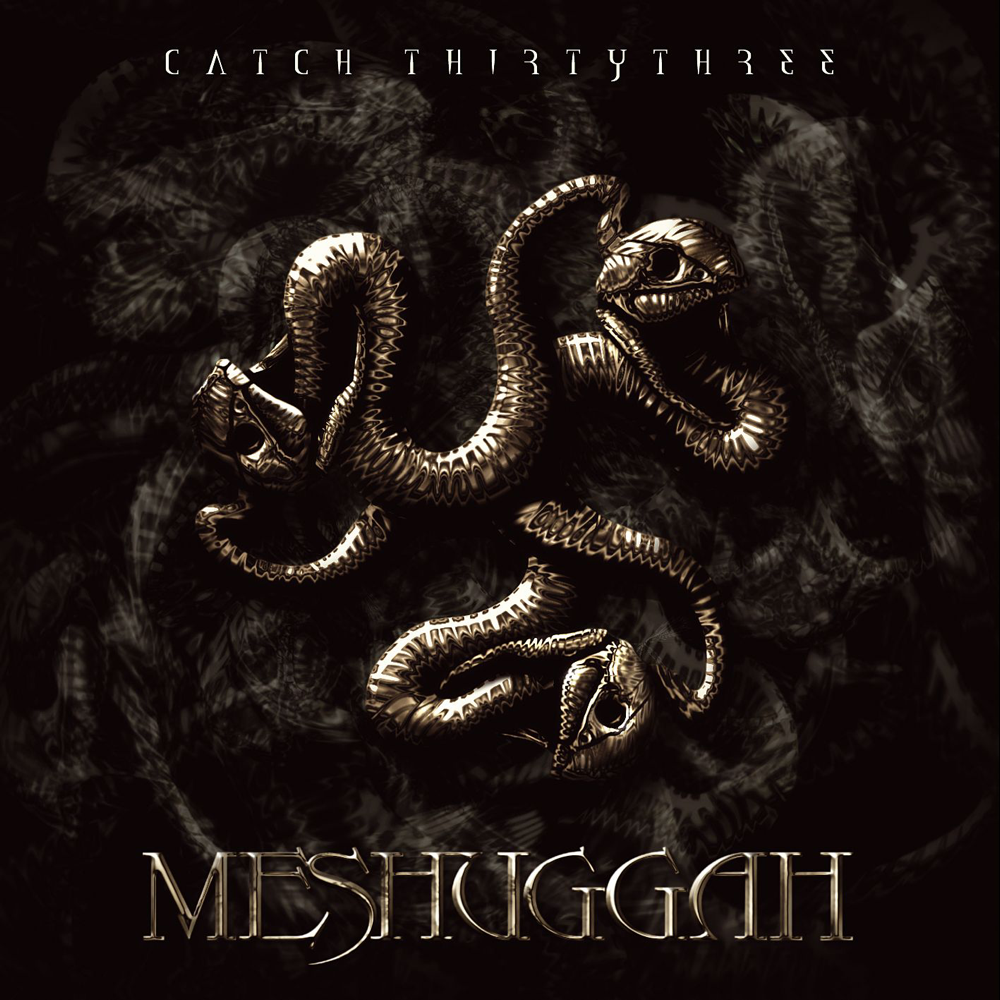 Catch Thirtythree - Meshuggah - Cover