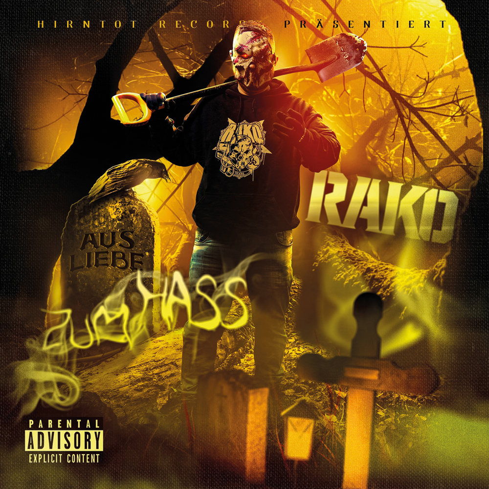 Aus Liebe zum Hass - Rako - Cover
