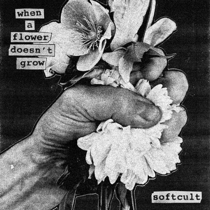 When A Flower Doesn't Grow - Softcult - Cover