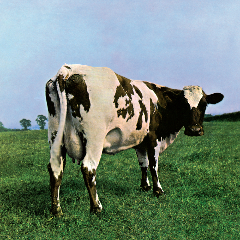 Atom Heart Mother - Pink Floyd - Cover