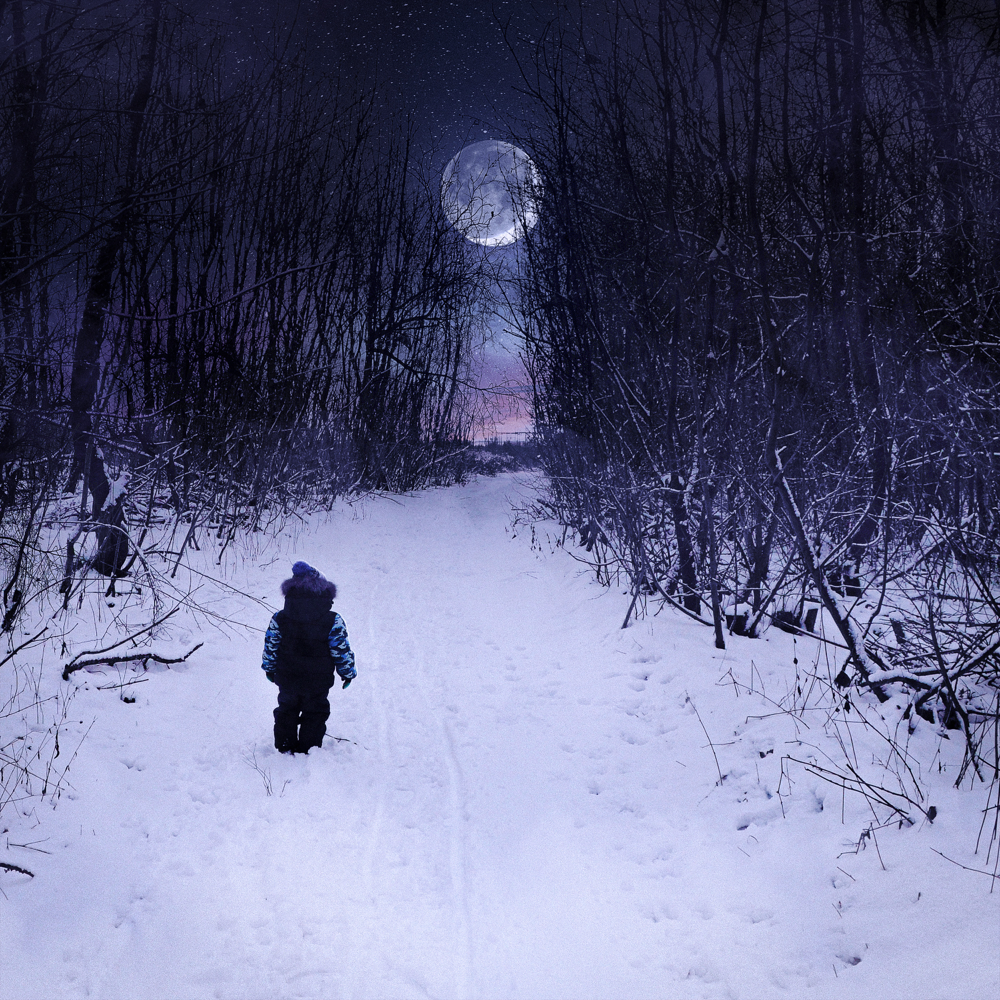 Nie wieder Winter - Metrickz - Cover