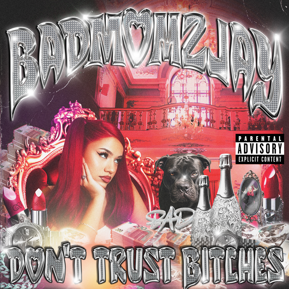 Don't Trust Bitches - badmómzjay - Cover