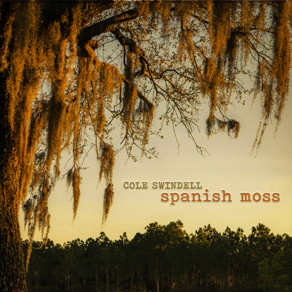 Spanish Moss - Cole Swindell - Cover