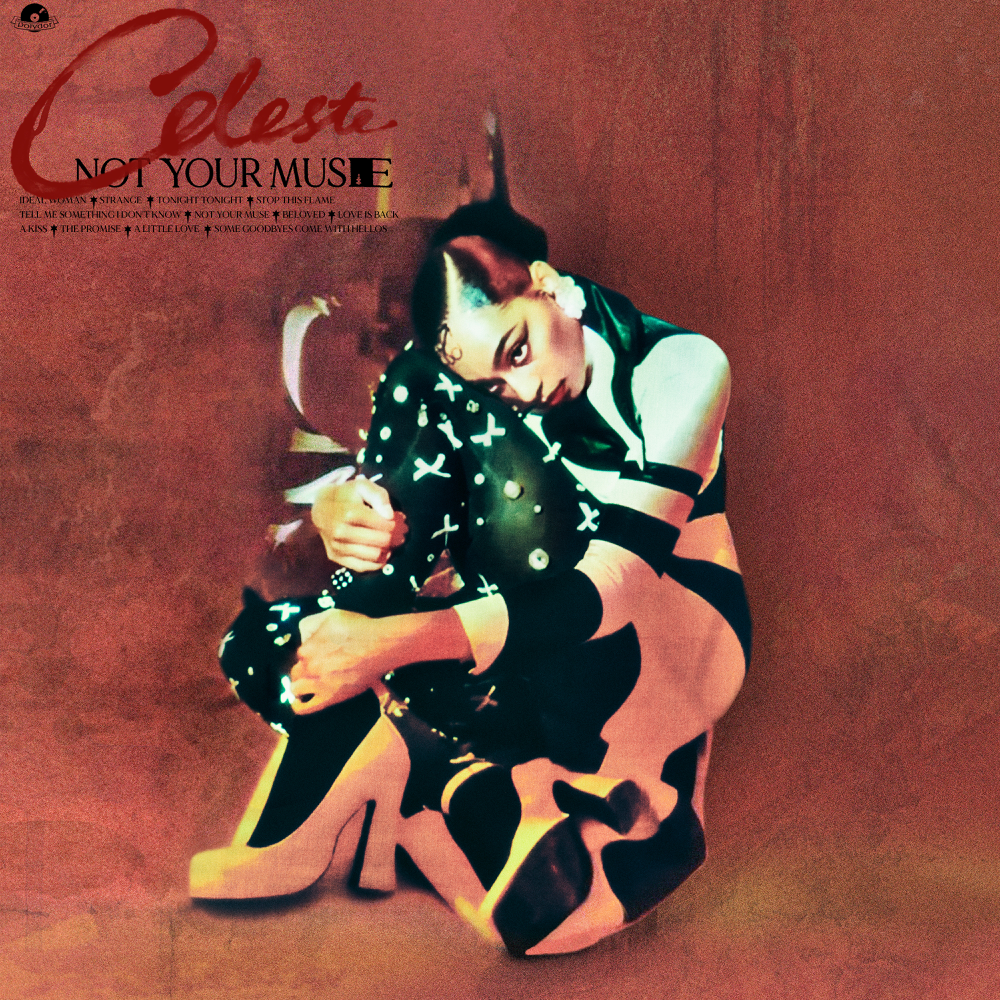 Not Your Muse cover
