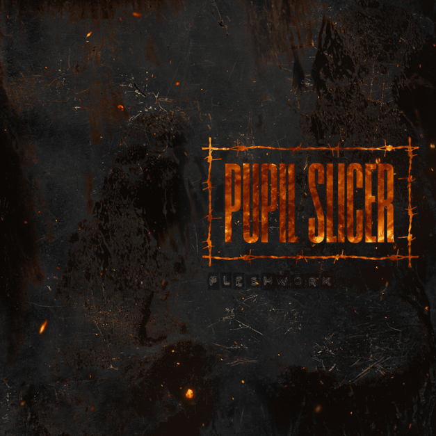 Fleshwork - Pupil Slicer - Cover