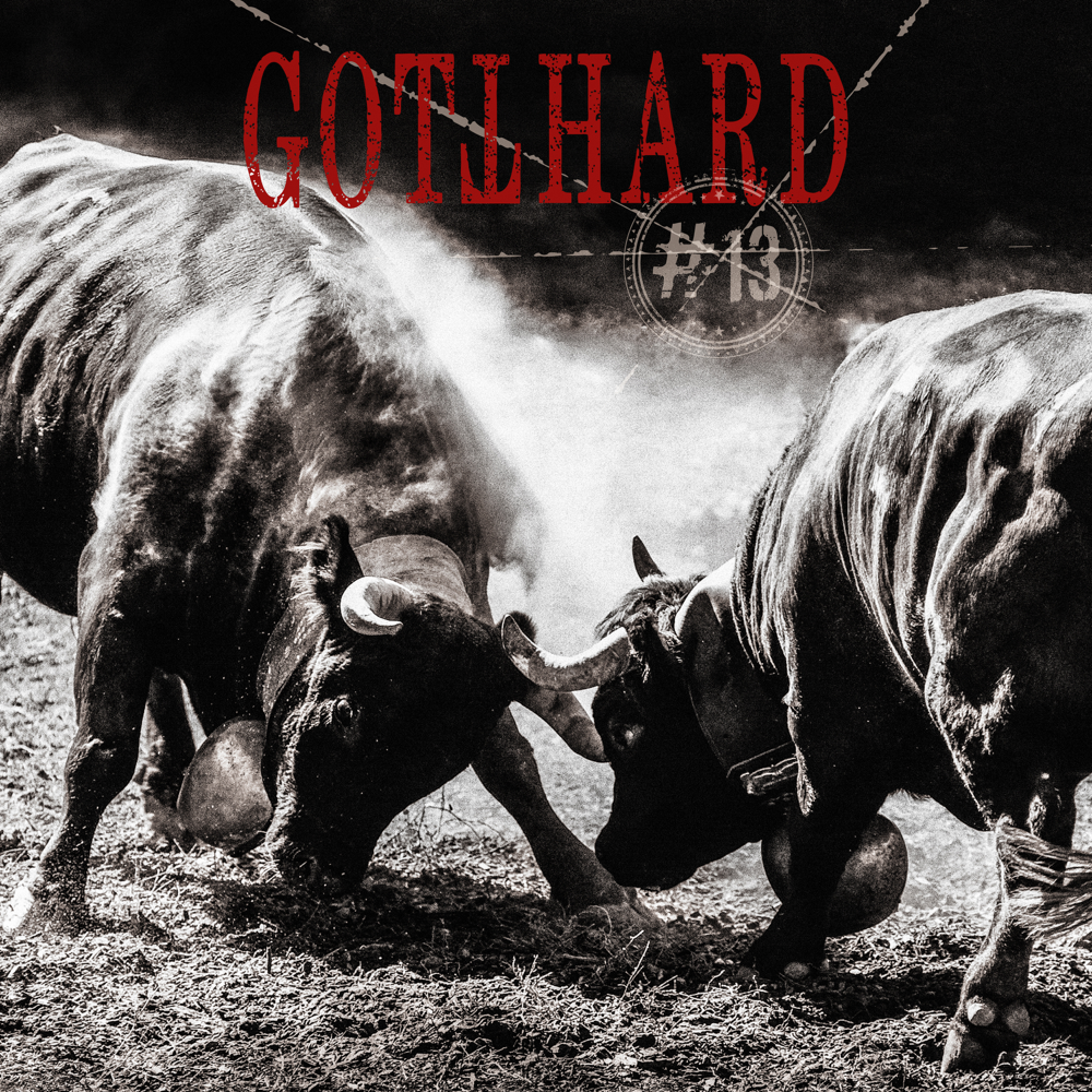 #13 - Gotthard - Cover